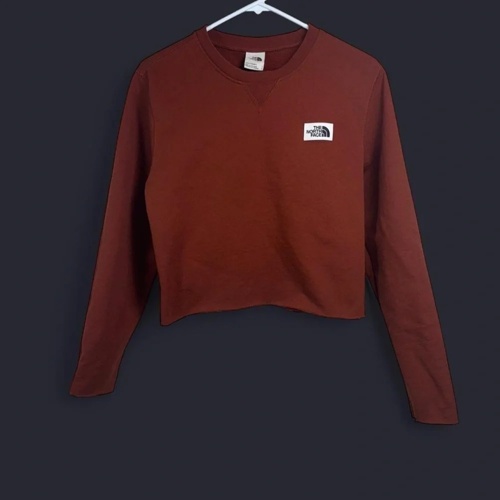 The North Face Gorpcore Men’s Cropped Crewneck Sweatshirt Brown